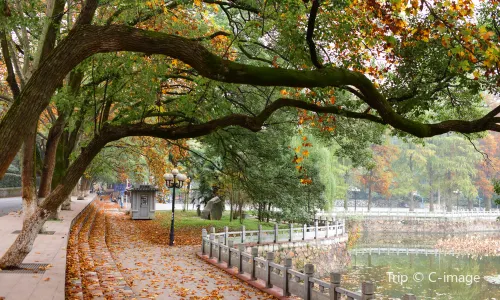 Wuhan University