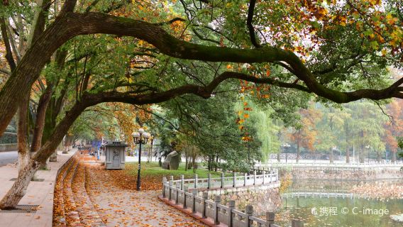 Yellow Crane Tower + Provincial Museum + East Lake + Qingchuan Pavilion + Hankou River Beach guide and translation attractions adjustable G