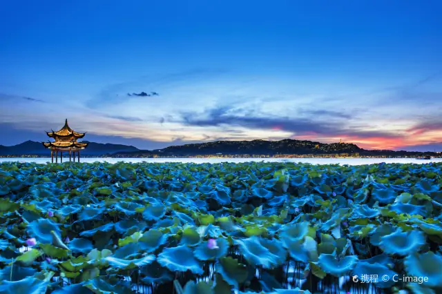 Lotus Viewing in Hangzhou