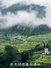 Fertility Culture Tea Garden, Heyashan Village, Taihe Township