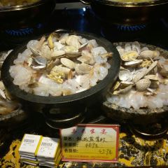 醉美 User Photo