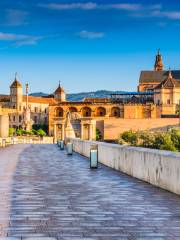 Roman Bridge of Córdoba