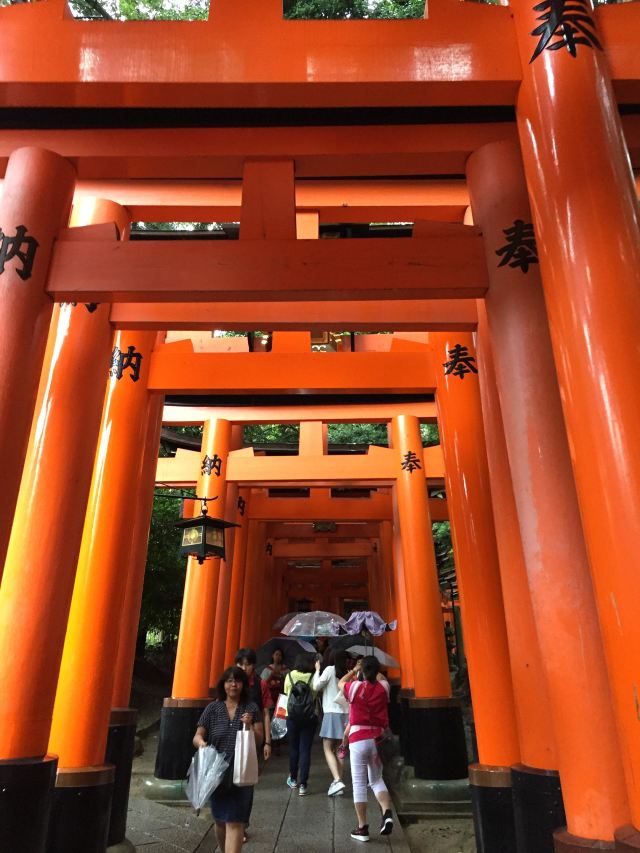 伏見稲荷大社 Attractions 京都 Travel Review Travel Guide Trip Com