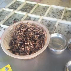 Youjianbingshi User Photo