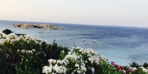 La Terrazza alla Marmorata