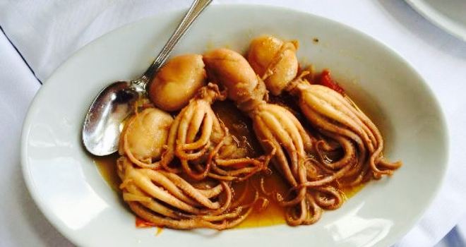 Trattoria Molo Sud