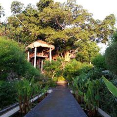 Tree Tops Signature Dining User Photo