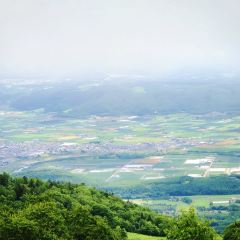 Kohi Morinotokei User Photo