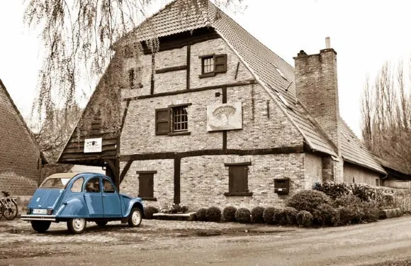 巖羊住宿加早餐旅館