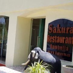 Sakura張用戶圖片