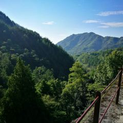 西天目林海农庄 User Photo