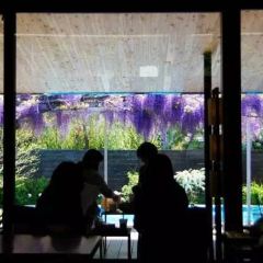Double Doors Shichirigahama User Photo