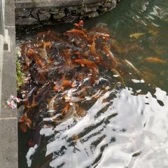 Yuquanyuan User Photo