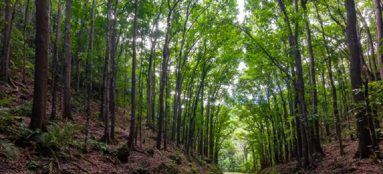 ロボックのホテル