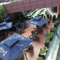 Blue Frog (Aqua City) User Photo