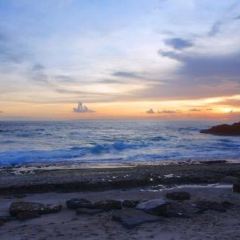 SANDY BAY BEACH CLUB User Photo