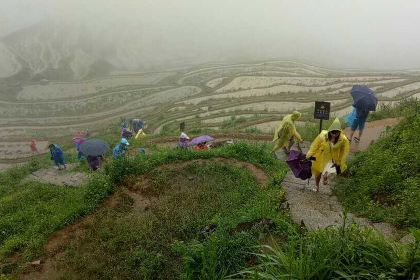 Lingshangrenjiawangfengloukaoquanyang