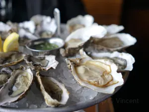 Hog Island Oyster Co.