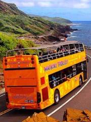 歐胡島巴士觀光遊