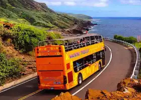 Waikiki Trolley