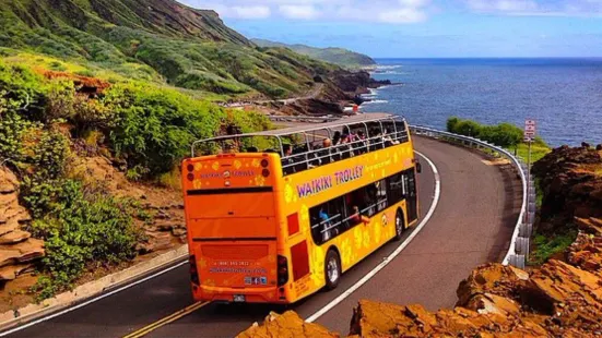 Waikiki Trolley