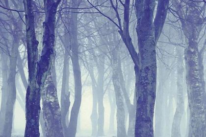 肯德基(新文献店)