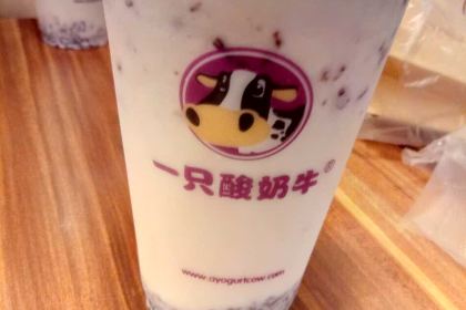 一只酸奶牛(炫地店)
