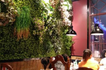 Jibuluniupaihaixianzizhu (tongchuanluofuguangchang)