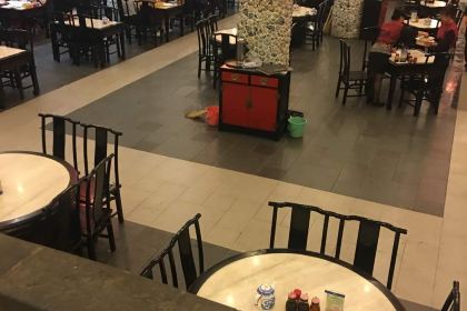 Daqinghua Dumpling House (shannan)