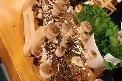 粤牛潮汕牛肉火锅(万达国贸店&东园东路店)