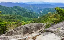 大雪山國家森林遊樂區