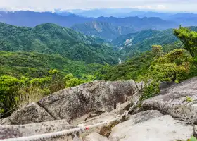 大雪山國家森林遊樂區