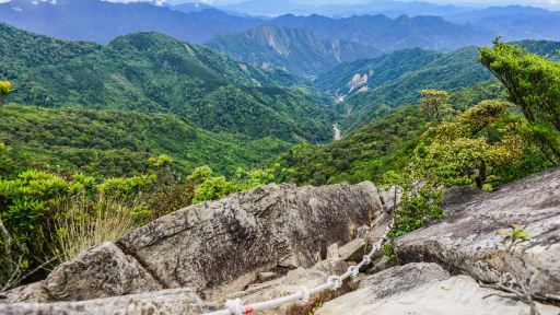 大雪山國家森林遊樂區門票成人票 大雪山國家森林遊樂區門票成人票