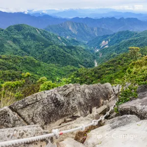 大雪山國家森林遊樂區