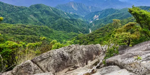 大雪山國家森林遊樂區