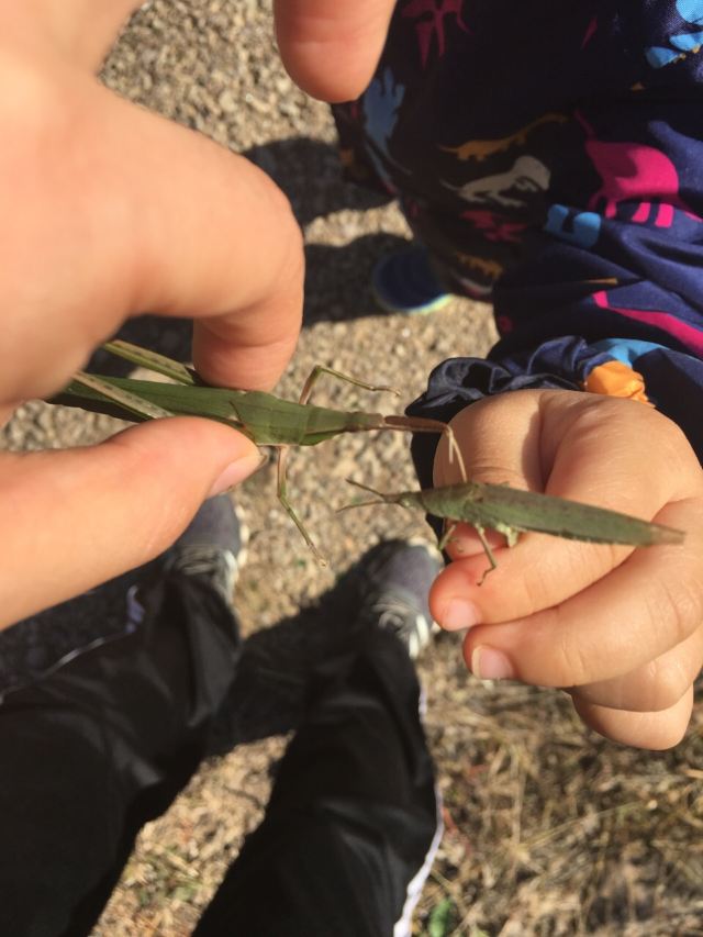 환룡호