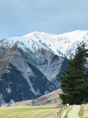 Arthur's Pass Walking Track