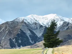 Arthur's Pass Walking Track