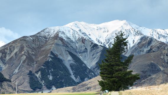 Arthur's Pass Walking Track