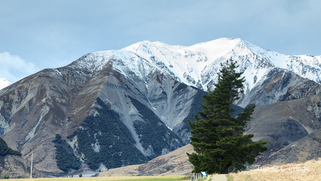 Arthur's Pass Walking Track