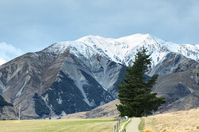 Arthur's Pass Walking Track
