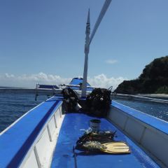 Verde Divers User Photo