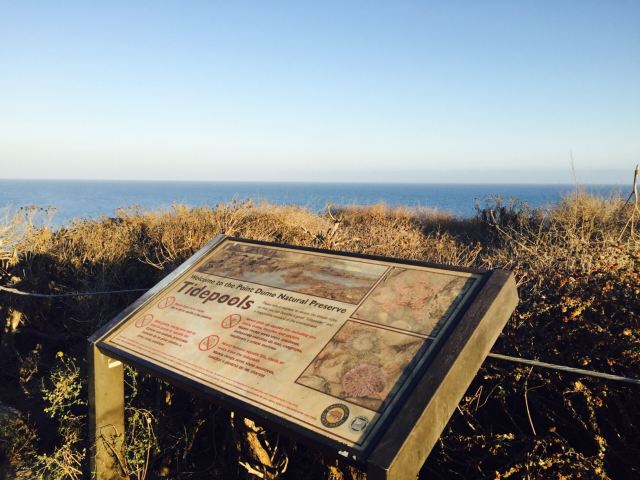 Point Dume State Beach and Preserve