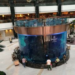 Hilton Foshan OPEN All-Day Dining Restaurant ảnh của người dùng