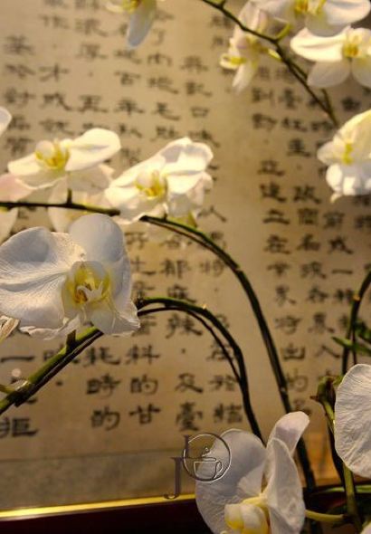 ZhengZong Taipei Wu Ji Xian Ding Wei (Wu Middle Road)