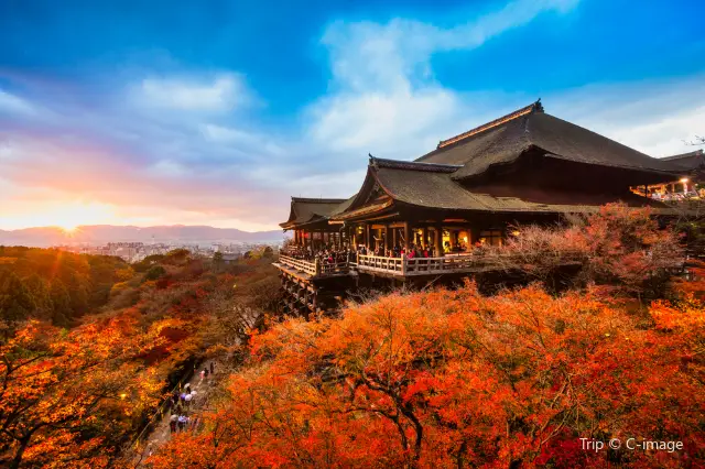 Admire Maple Leaves in Kyoto