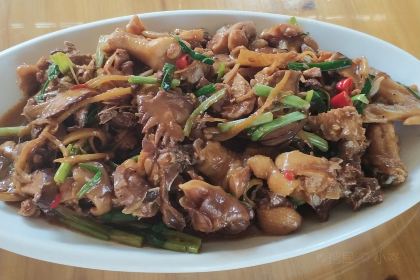 SHENGTAIYUAN NONGZHUANG