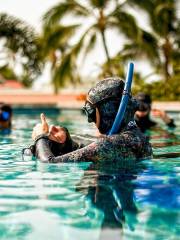 OW Professional Diver License 3 Day Training Course