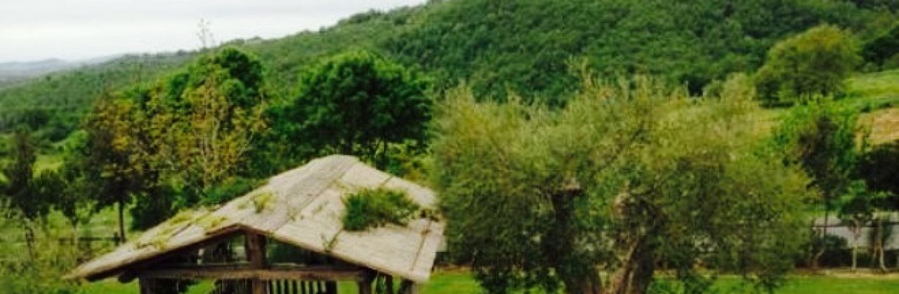 Agriturismo Poderuccio