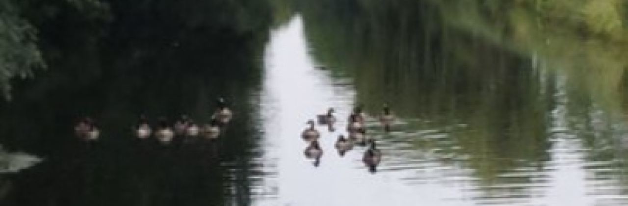 Theehuis Monchouette